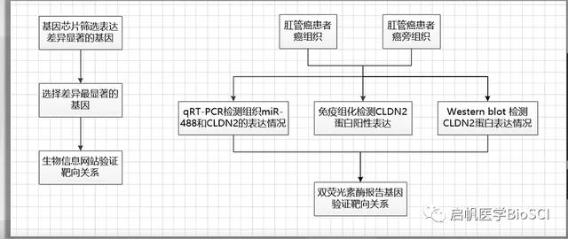 生物醫(yī)學(xué)實(shí)驗(yàn)方案設(shè)計(jì)大全，讓你課題脫穎而出（生物實(shí)驗(yàn)設(shè)計(jì)專(zhuān)題）