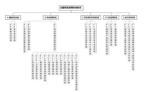 全國項(xiàng)目管理標(biāo)準(zhǔn)體系建設(shè)指南（項(xiàng)目管理指南 國家標(biāo)準(zhǔn)）